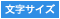 文字サイズ