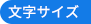 文字サイズ