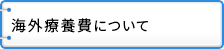 海外療養費について